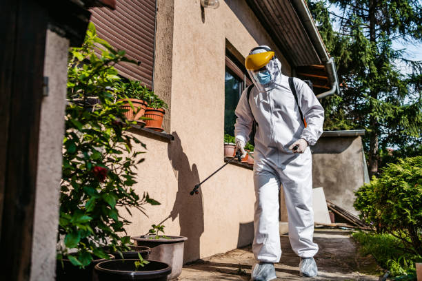 Best Bed Bug Extermination  in Ashland, MO