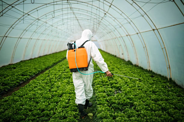 Best Best Pest Control Companies  in Ashland, MO