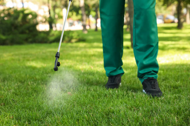 Best Residential Pest Control  in Ashland, MO