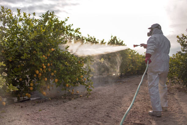 Best Mosquito Control Services  in Ashland, MO