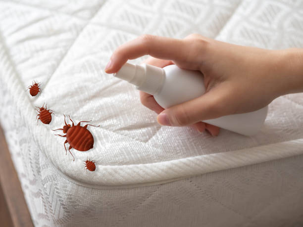 Best Mosquito Control Services  in Ashland, MO