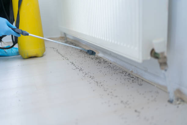 Best Best Pest Control Companies  in Ashland, MO