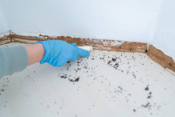Best Exterminator Services  in Ashland, MO